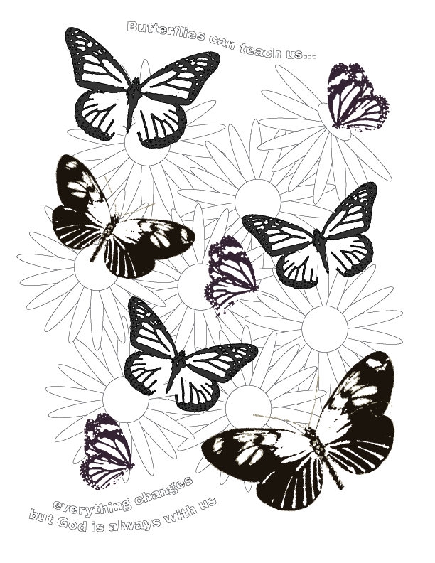 creation butterflies