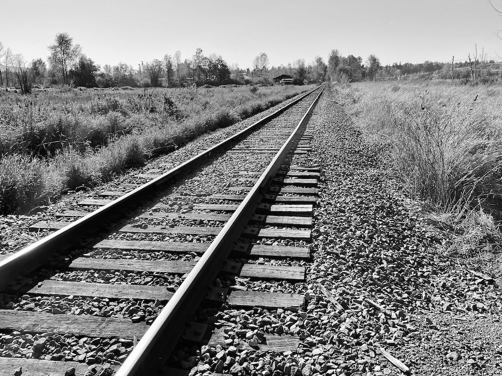A black and white photograph of railway tracks through an overgrown meadow