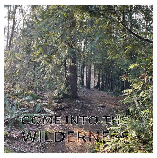 Come into the wilderness words outlined in white over a path leading into a forest