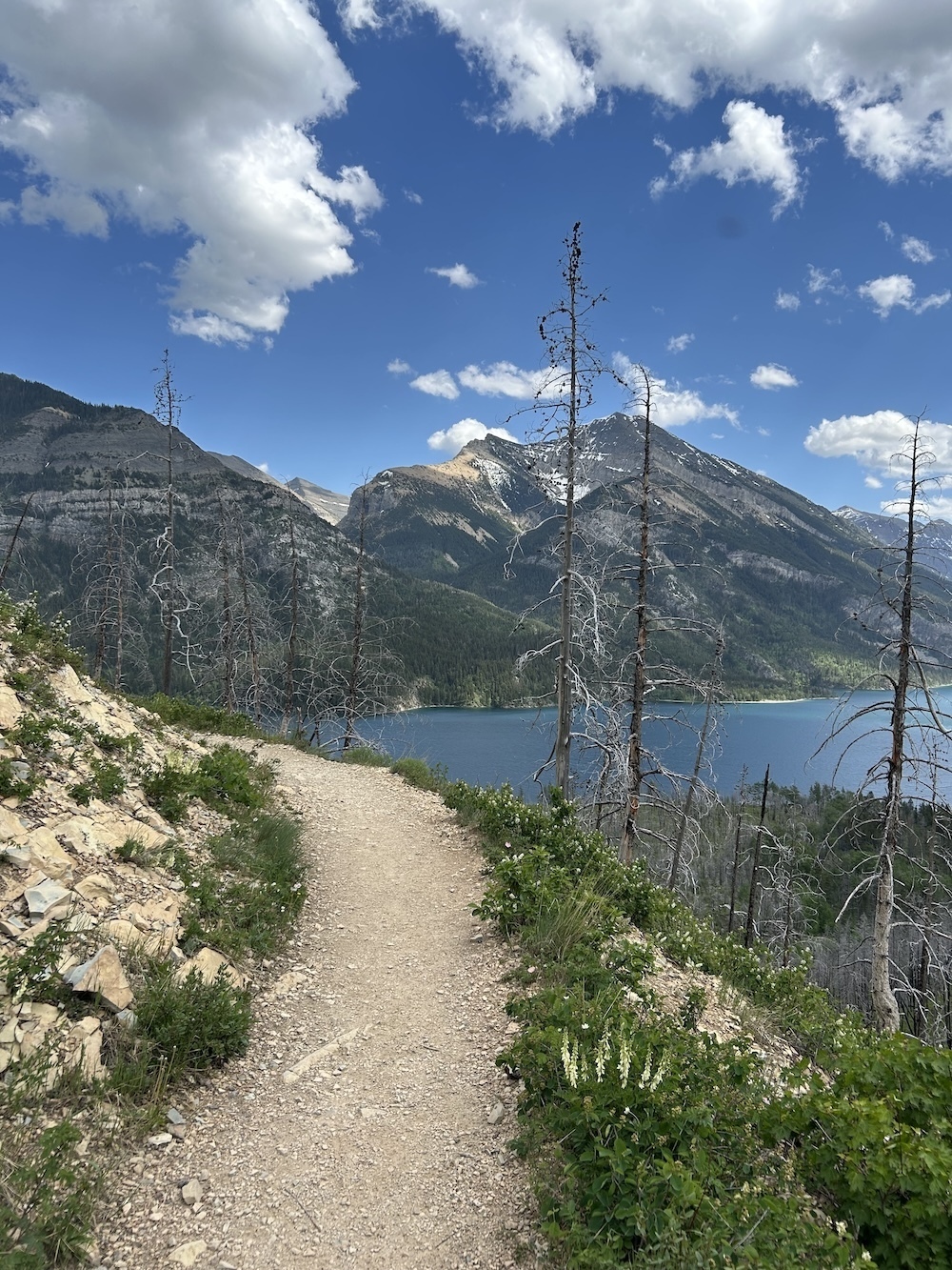Distant mountains a path that curves out of view a lake and dead trees
