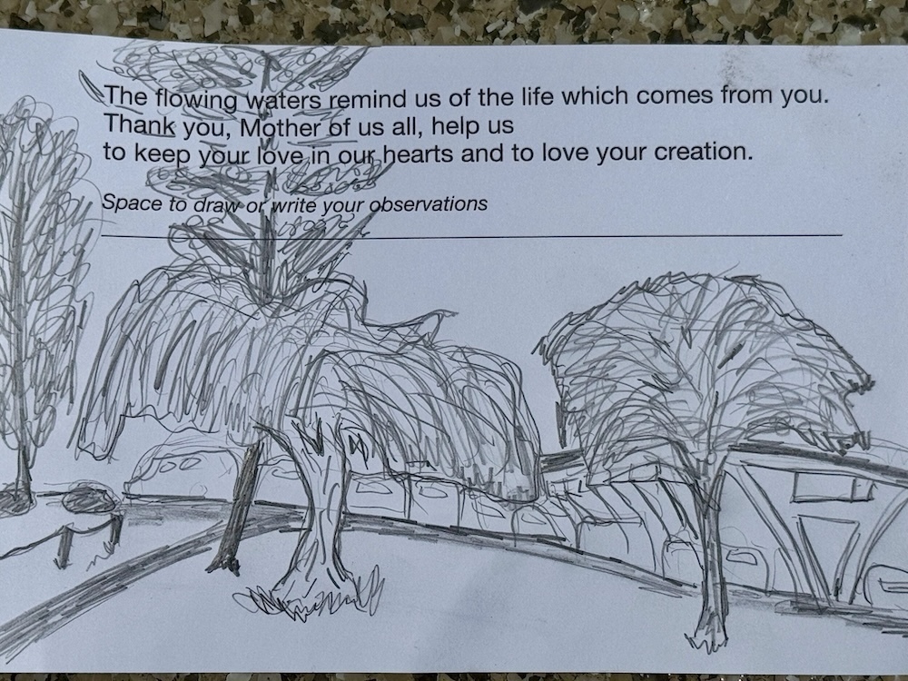 Preview of Creation Speaks, a Psalm from beside the river.
