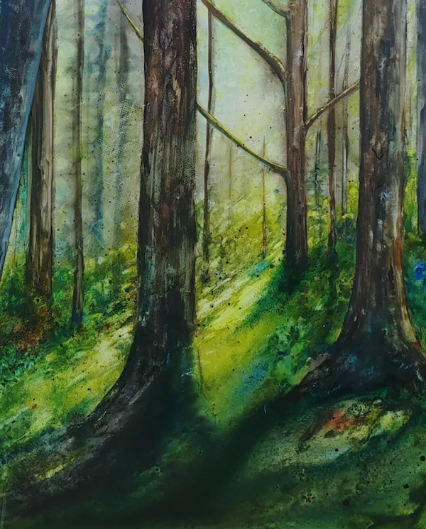 A forestscape with light and shadow between the trees.